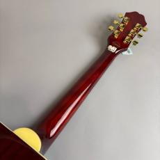Epiphone DR-100_7