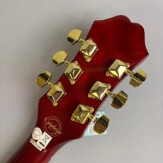 Epiphone DR-100_8