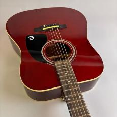 Epiphone DR-100_9