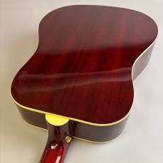 Epiphone DR-100_10