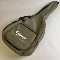 Epiphone DR-100_11