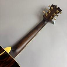 D'Angelico Excel Lexington_7