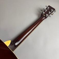VANGUARD VDG-01_7