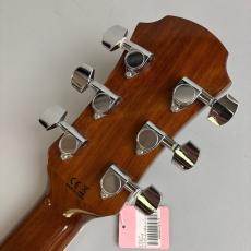 LEGEND FG-15_8