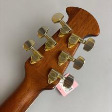 Ovation CC48_8