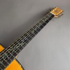 BUGSGEAR Bugs Gear DT-50TW_3