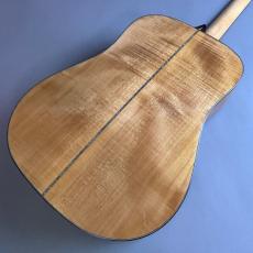 BUGSGEAR Bugs Gear DT-50TW_5