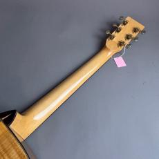 BUGSGEAR Bugs Gear DT-50TW_7