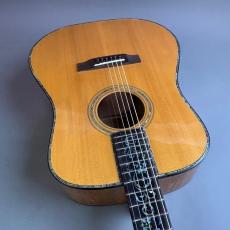 BUGSGEAR Bugs Gear DT-50TW_9