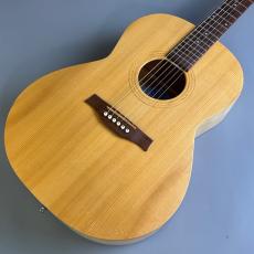 Seagull Excursion Nat Folk Solid Spruce SG