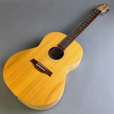 Seagull Excursion Nat Folk Solid Spruce SG_2