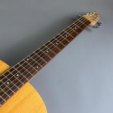 Seagull Excursion Nat Folk Solid Spruce SG_3