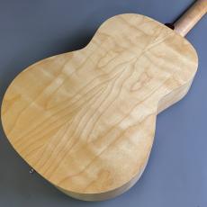 Seagull Excursion Nat Folk Solid Spruce SG_5