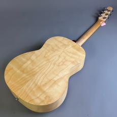 Seagull Excursion Nat Folk Solid Spruce SG_6