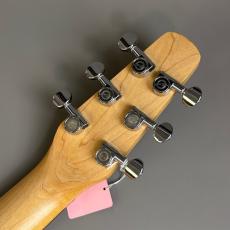Seagull Excursion Nat Folk Solid Spruce SG_8