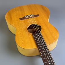 Seagull Excursion Nat Folk Solid Spruce SG_9