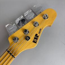 ESP AMAZE-CTM_4