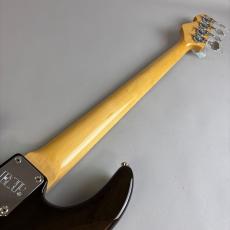 ESP AMAZE-CTM_7