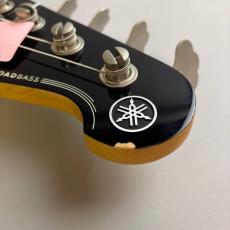YAMAHA BBP34_10