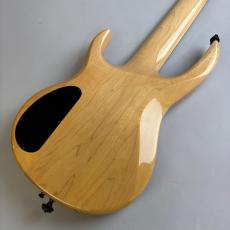 CARVIN LB76_5