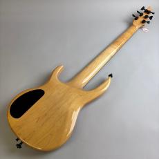 CARVIN LB76_6