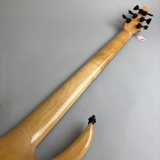 CARVIN LB76_7