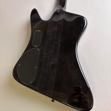 Spector REX4_5