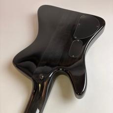 Spector REX4_10