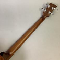 Ibanez AVCB9CE_7