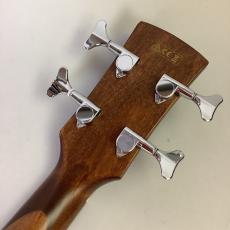 Ibanez AVCB9CE_8