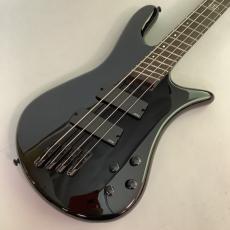 Spector NS Dimension HP 4