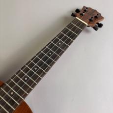 Koalana KTA-10SP Tenor_3