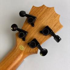 Koalana KTA-10SP Tenor_8