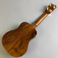 Tangi OF HAWAII KOA_5