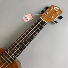 COTONE CS3S_3