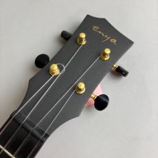 Enya NOVA U PRO_4