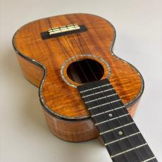 Kamaka HF-2 D2I_9