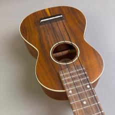 Hanalei HUK-300_9