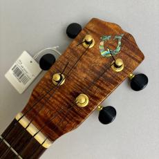 G String T4 SUN tenor Ukulele_4