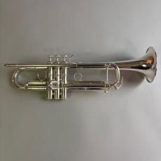 Bach VINCENT MODEL