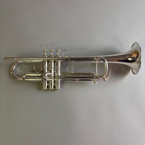 Bach VINCENT MODEL