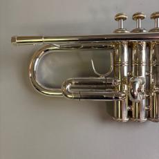 Bach VINCENT MODEL_2