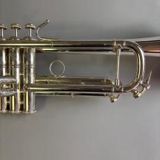 Bach VINCENT MODEL_3