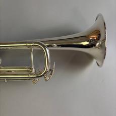 Bach VINCENT MODEL_4