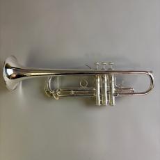 Bach VINCENT MODEL_5