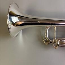 Bach VINCENT MODEL_6