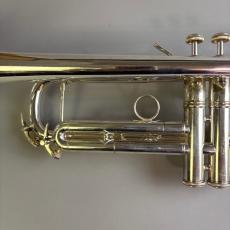 Bach VINCENT MODEL_7