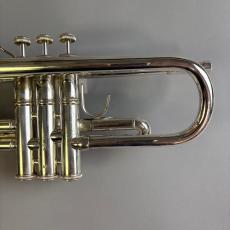 Bach VINCENT MODEL_8