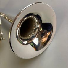 Bach VINCENT MODEL_9
