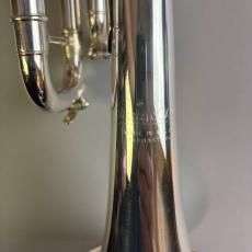 Bach VINCENT MODEL_10